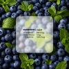 BOOST - B12 / Berry Mint Pods Ingredients 